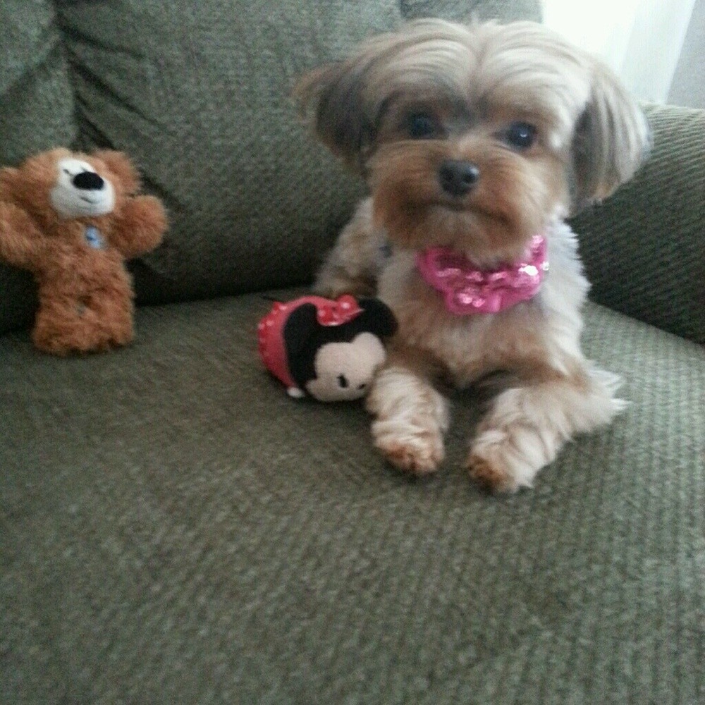 Meet your Posher, Bonnie